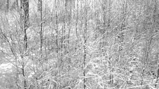 Cashmere Cat & DJ Mustard - Ice Rink (Jersey Club Edit)