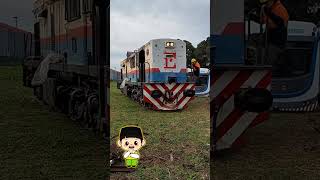 Download lagu Is it true! locomotives can run on grass #train #railfans #shorts mp3 Download lagu Is it true! locomotives can run on grass #train #railfans #shorts mp3