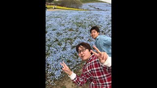 シンバス誕生日会2022第15430回しめしゅん、抹茶