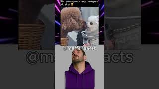 Maffel Reacts #memes #funnymemes #funny