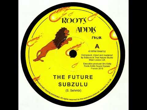 Subzulu - The Future/ Dub The Future