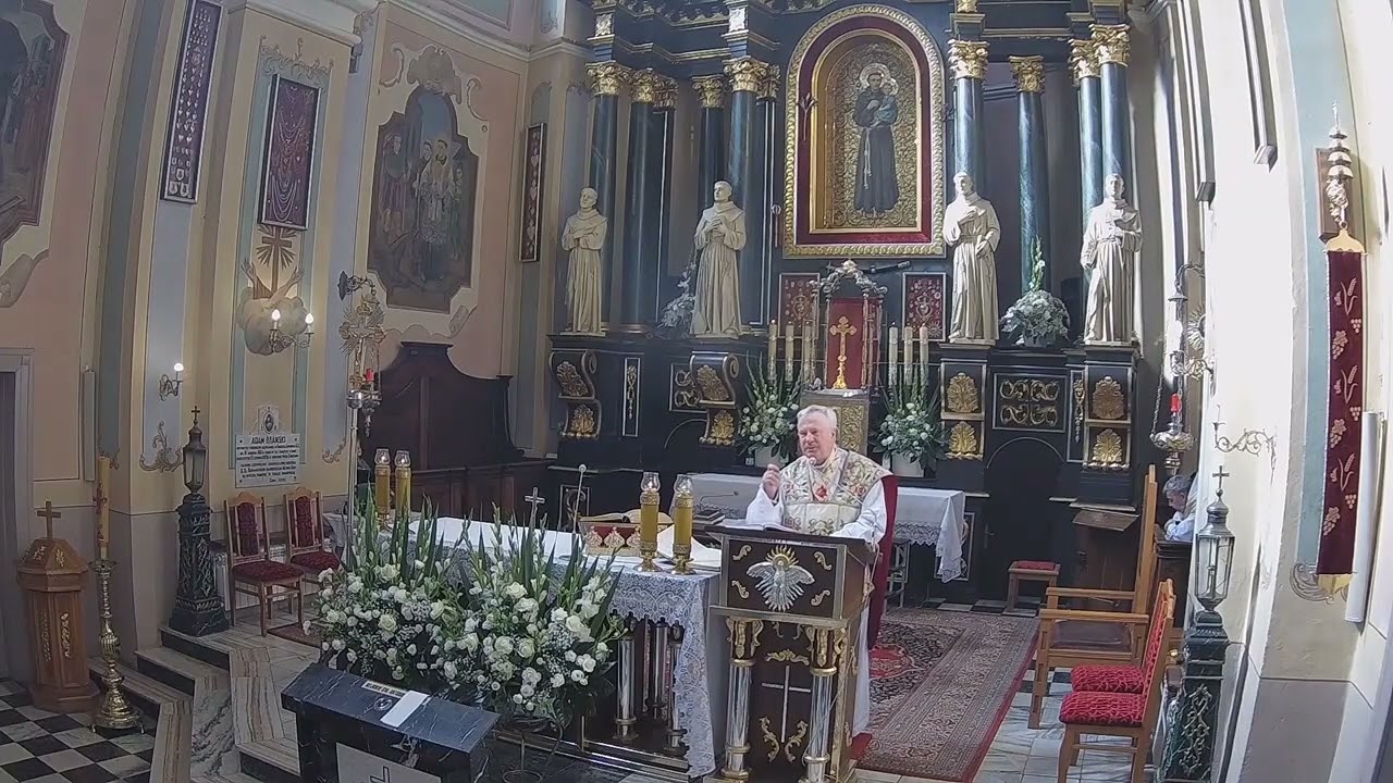 Drogowskazy św. Franciszka – kazanie – ks. prof. Tadeusz Guz