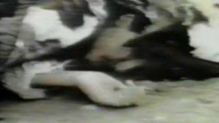 SKINNY PUPPY 'VX Gas Attack' TOO DARK PARK Backing Film excerpt (HQ Audio)