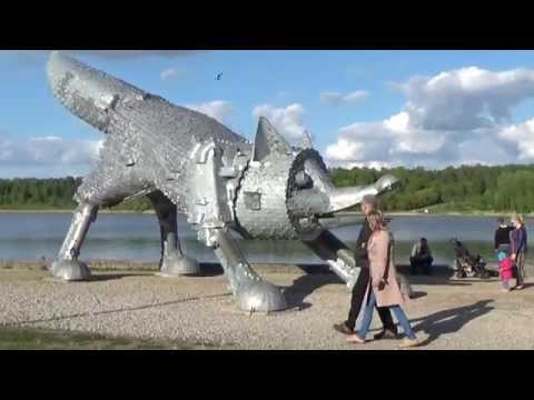 Learn Lithuanian Lesson 8 Metal Fox