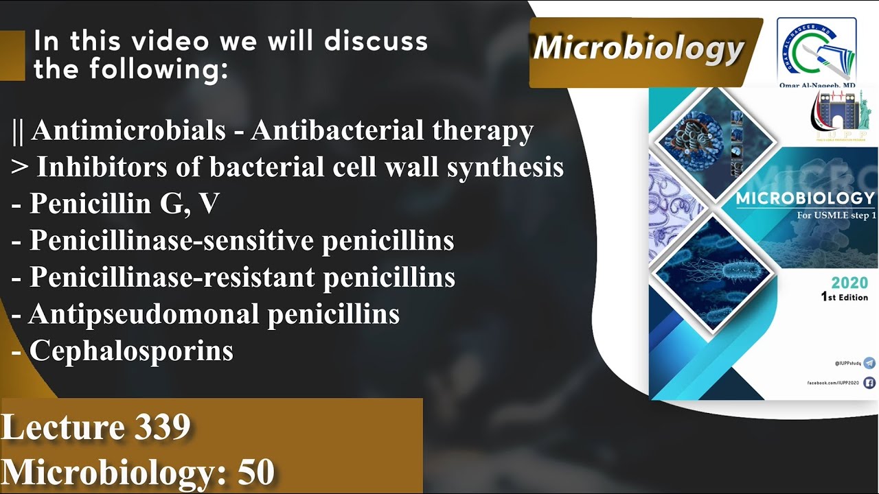 Penicillin G, V | Amoxicillin | Dicloxacillin | Piperacillin | Cephalosporins