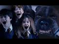 Harry Ron And Hermione Meet Fluffy Philosopher S Stone