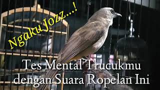 Download lagu Tes Mental Trucukmu dengan ini jika Joss,pancingan trucukan,pancingan cucak rowo mp3