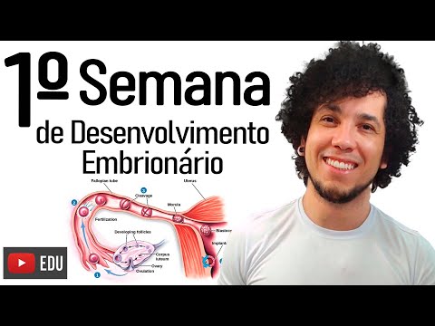1º SEMANA DE DESENVOLVIMENTO EMBRIONÁRIO - AULA DE BIOLOGIA│EMBRIOLOGIA ENSINO SUPERIOR