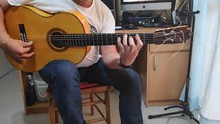 Video thumbnail for Falseta de bulerías al gusto dedicado al luthier David Jiménez Rodríguez by Niño Manuel