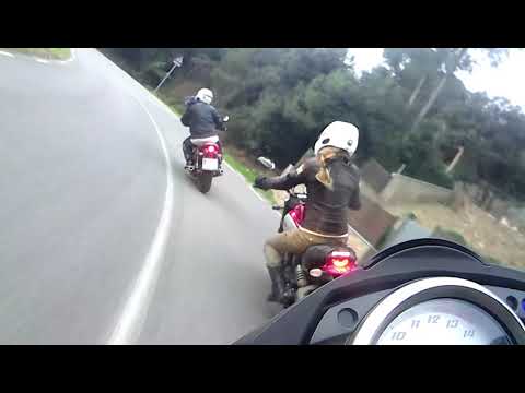Sortida a Collserola_3