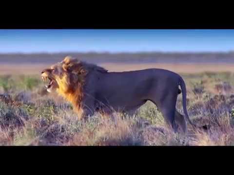 Die Schöpfung (Die Erde ist Zeuge) Teil 2