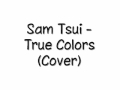 Sam Tsui - True Colors (Cover for Glee Audition ...