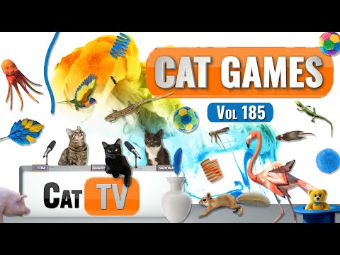 CAT Games | Ultimate Cat TV Compilation Vol 185 | 8 HOURS  🐝🐞🦋🦎🦜🐜🐭🧵