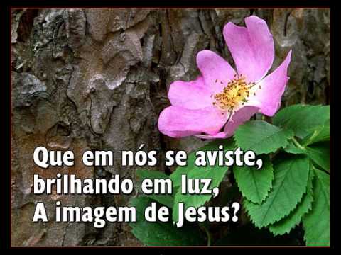 Vêem Os Outros CRISTO Em Ti     Hino  304