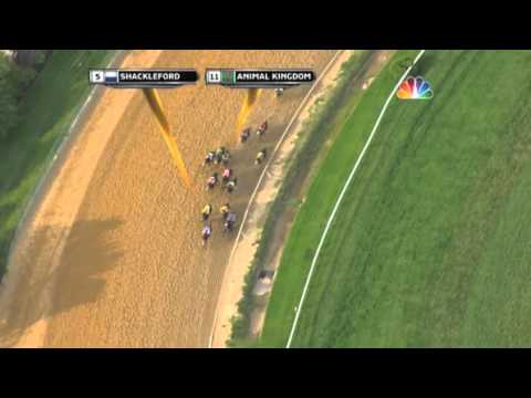 Overhead View, 5/21/2011 Preakness Stakes(G1) Shackleford