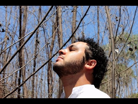 O Som Do Amor video