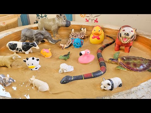 Tiny Heroes, Big Hearts: A Toddler's Guide to Farm & Zoo Animal Rescue Adventures