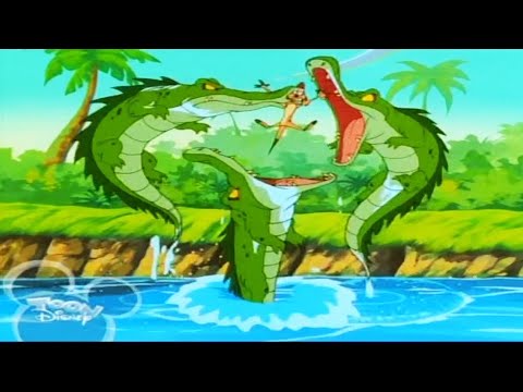 Timon & Pumbaa Season 1x49 - No-Good Samaritan - Living in De Nile Full Episode