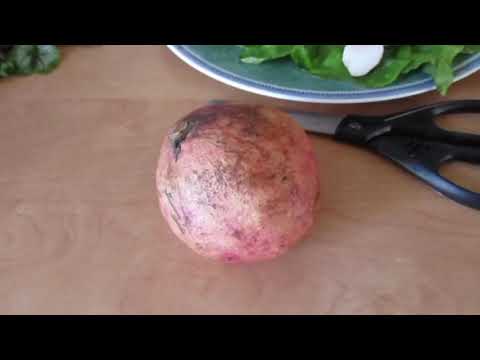 Schul Frey 4 - „Die Taubnessel“