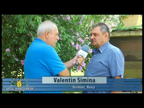 Satul hunedorean 15 iulie 2018