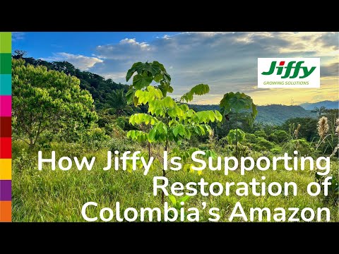 Thumbnail for How Jiffy Is Supporting Restoration of Colombia’s Amazon Region by Colombia