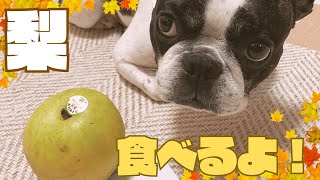 🍂秋の味覚🍂を堪能しました！🙋🏻‍♂️