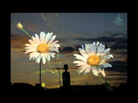 Aronov blagoslov (B. Krajcar & KUMI)