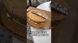 Download lagu #wookiecookie #disneyworld #hollywoodstudios #disneyfood #disneysnacks mp3 Download lagu #wookiecookie #disneyworld #hollywoodstudios #disneyfood #disneysnacks mp3