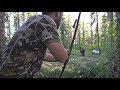 [SHORT] WAY TOO CLOSE: Huge bear bumps into traditional archer's arrow