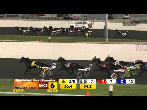 Meadowlands Pace Elimination - JK Endofanera - July 5, 2014
