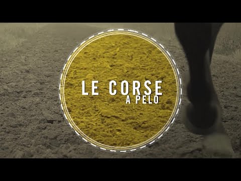 CORSE A PELO  - MOCIANO 29-03-2023