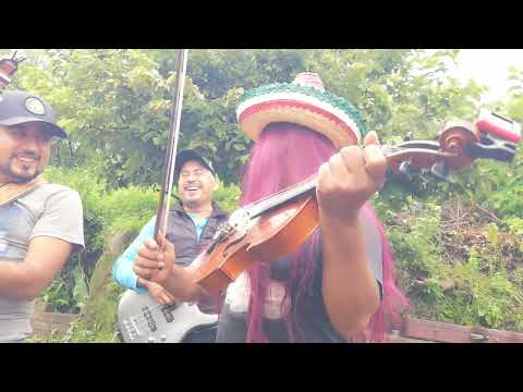 Hermanos Barrera Oficial_Cheque al portador