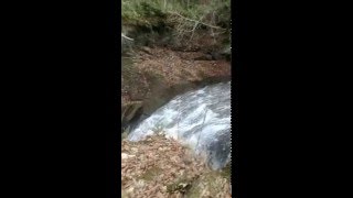 白扇の滝に行ってみた