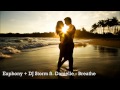 Euphony + DJ Storm ft. Danielle - Breathe ...