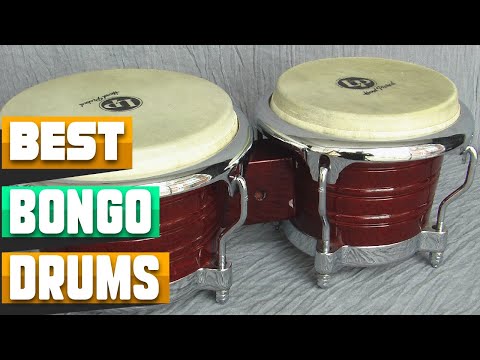 Bongo Drum : Which are the Best Bongo Drums in 2026?