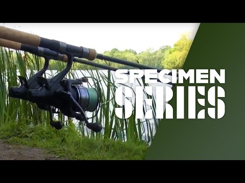 Gravel Pit Bream Fishing