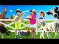 Farm Animals For KIDS Atrin Soren Nikan Learn Farm Animals Family Name Kids Educational Video