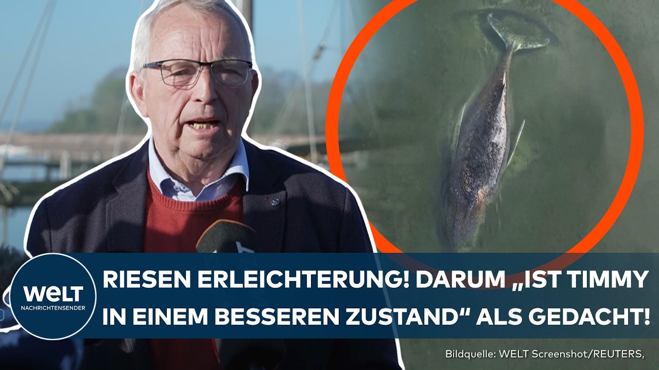WISMARER BUCHT: Update zur Rettung von Wal Timmy! Tierärzte äußern sich zum Gesundheitszustand!