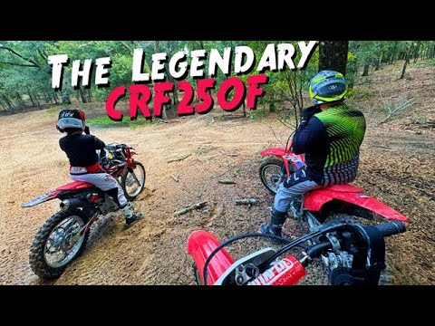 The BEST beginner dirt bike! - CRF250F