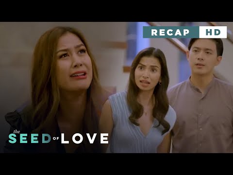 The Seed of Love: Eileen got accused of hurting the mistress's child (Weekly Recap HD)
