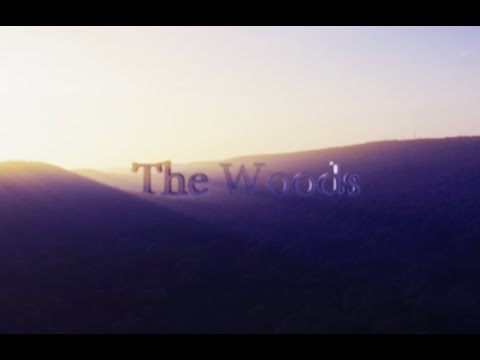 The Woods - Official Music Video - Anatomy of the Sacred