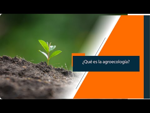 Introducción - ¿Qué es la agroecología?