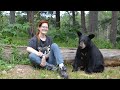 Education On The Misconceptions Of Wild Black Bears