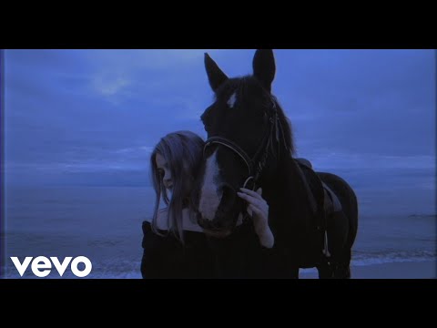 Divided Island - Fragile World