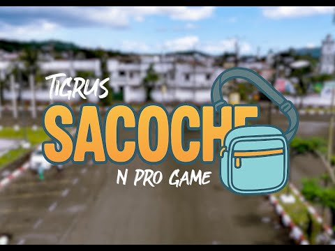 Tigrus and N-PRO GAME