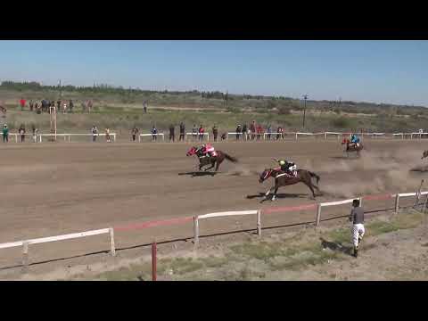 ATENEA  Club Hipico "Los Olivillos" -   Chimpay - 15 /10 /2022