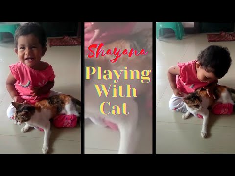playing with Cat | Shaji & Shayana's Diary |