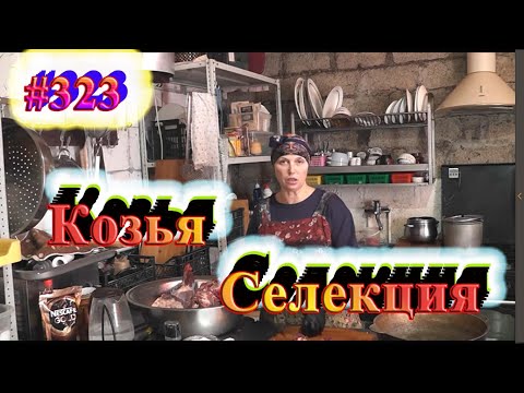 , title : 'Козья Селекция  / Как я ищу козлов / Уменьшаем риски / Выбраковка / Готовим курочку в молоке.'