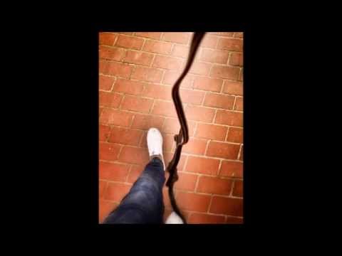 Rubinh0       não passa nada né.