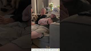 This dog hates sharing owner with anyone 🤣 #dog #funny #dogsof#funnyvideos #fyp